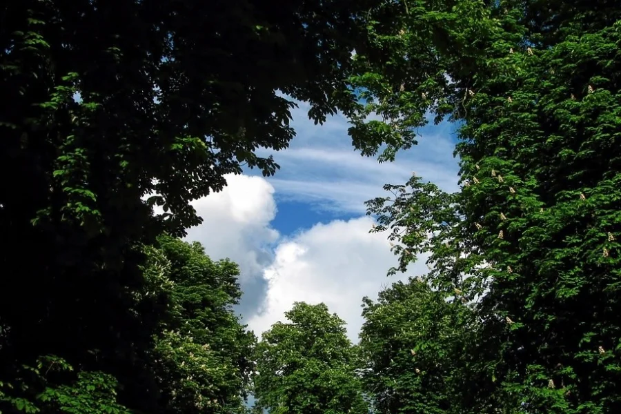 Börje Anderssons Park
